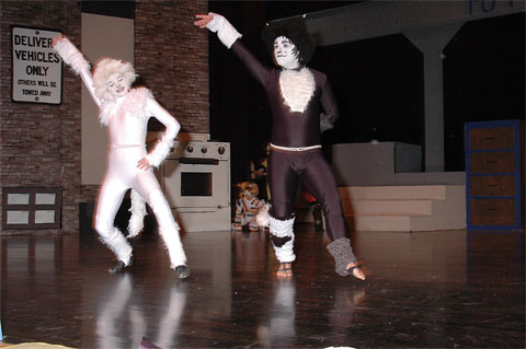 CATS