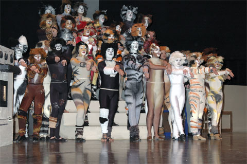 CATS
